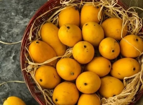 Premium Mangoes