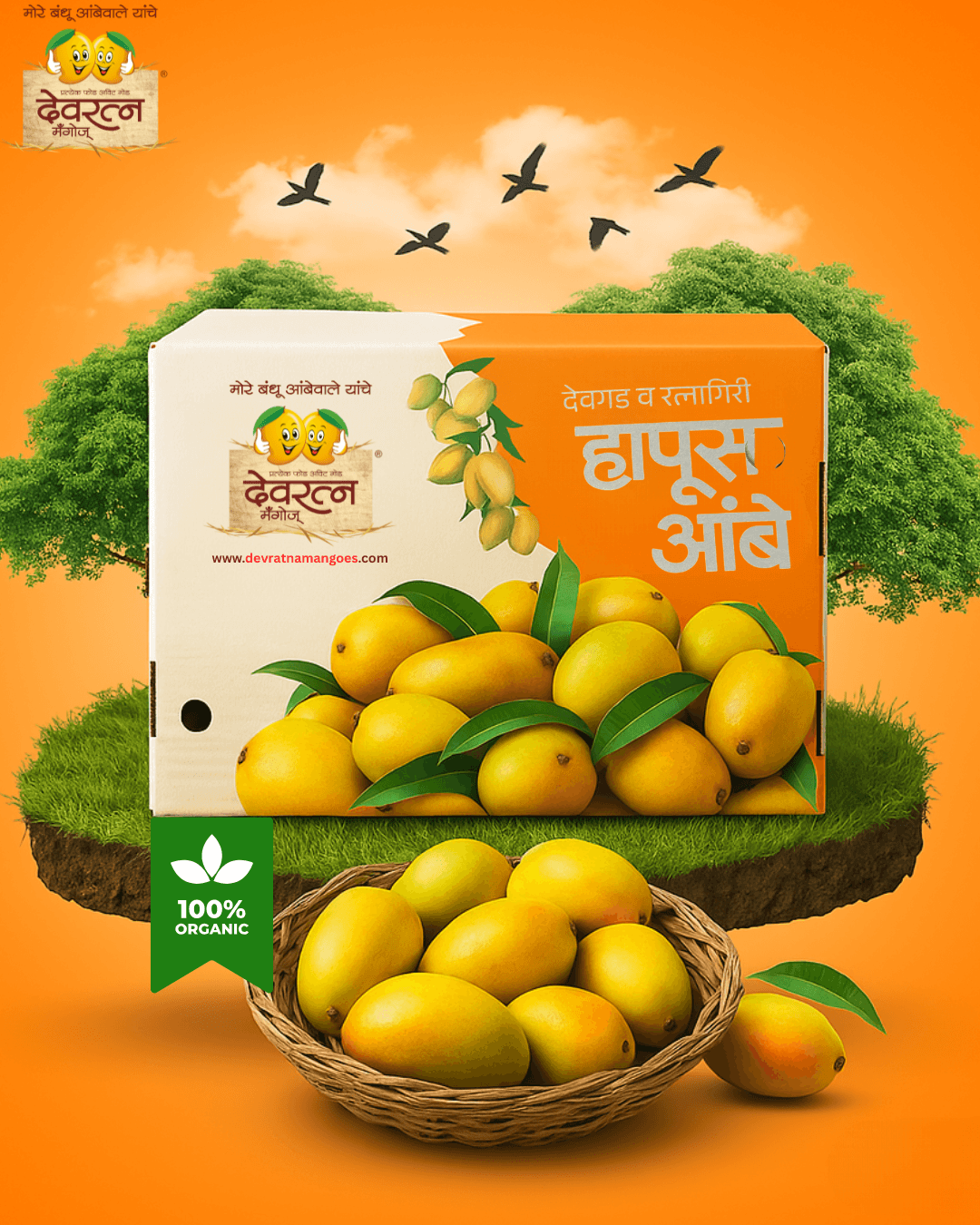 Original Devgad Mangoes